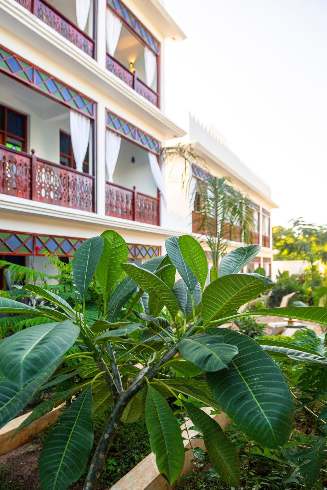 Tasneem Islamic Luxury Suites Джамбиани Экстерьер фото